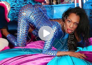 Video trans escort jennifer lopez casoria
